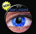 Blue Leopard - spalvoti lęšiai Crazy Lens